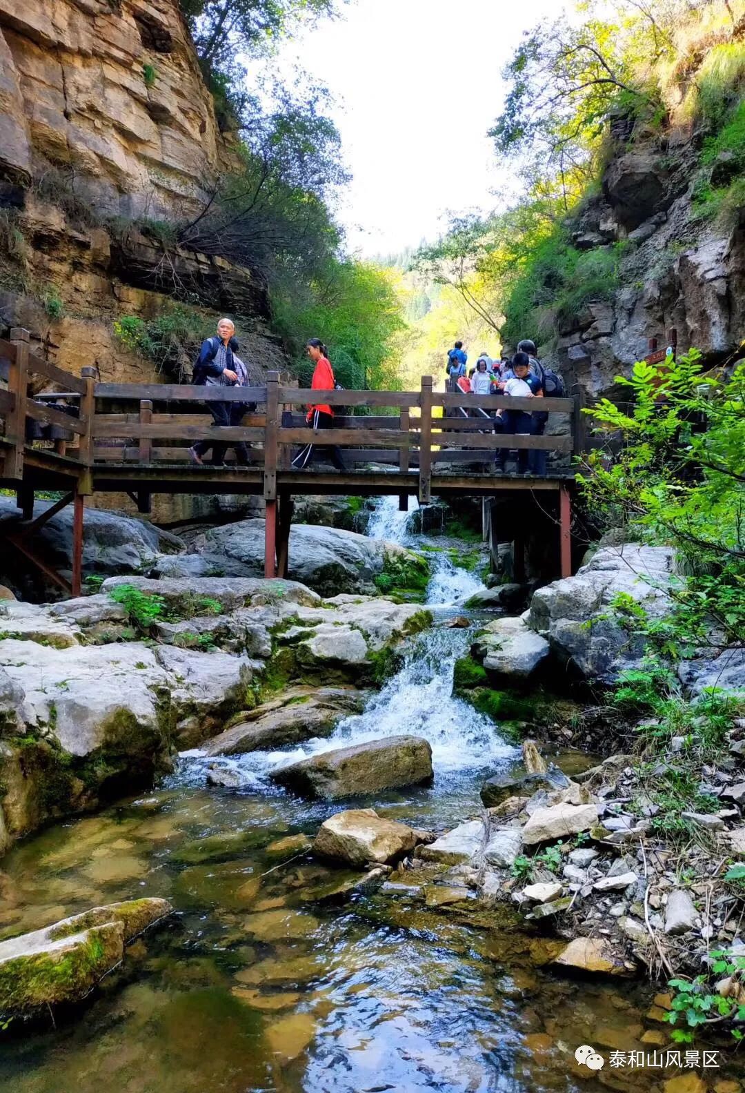 下周三,青州泰和山黄花溪灾后重新开园