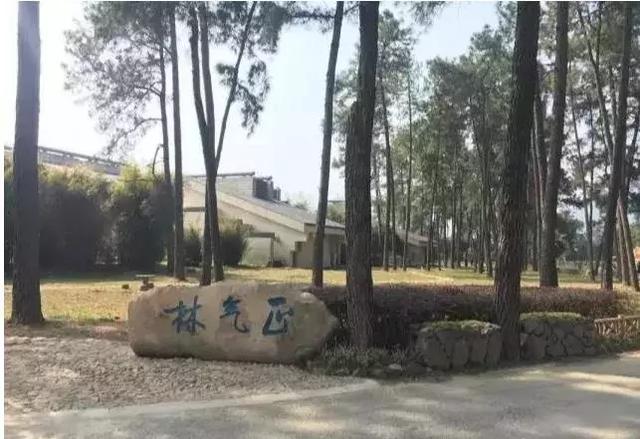 中秋将至 | 是时候把竹博园的行程定下来了