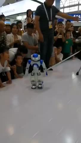 机器人遛狗
