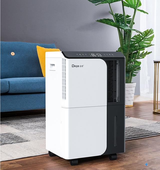 最近天气潮湿、闷热 大家有什么特殊的感觉么?