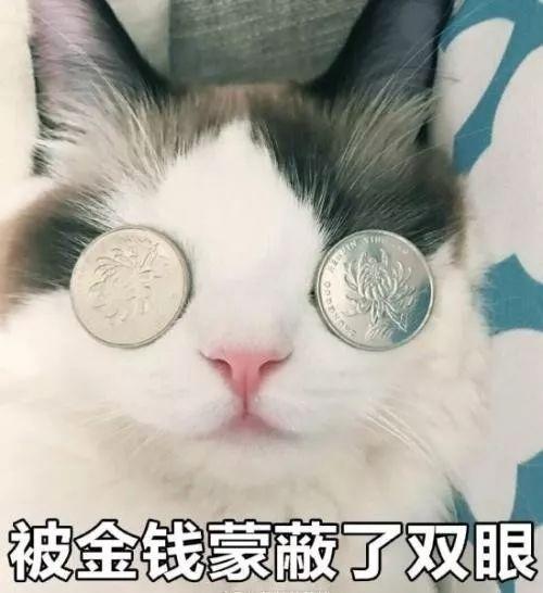 虎背熊腰，五五分比例…她这身材也能代言内衣？