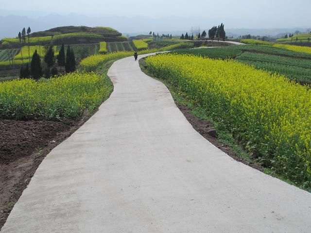 今年津市农村公路窄路加宽工程建设15.693公里
