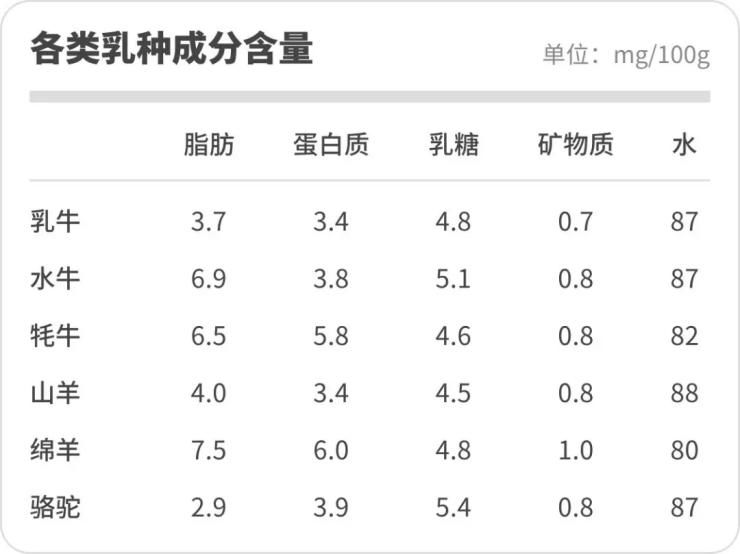 奶中贵族—骆驼奶接近母乳,能治糖尿病?揭露不同奶的好坏真相