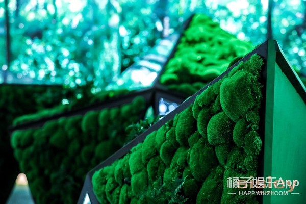 Sisley法国希思黎品牌首展开幕 携手吴磊探寻植萃秘境