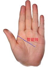 男左女右,教你手相看命,自己也能看!
