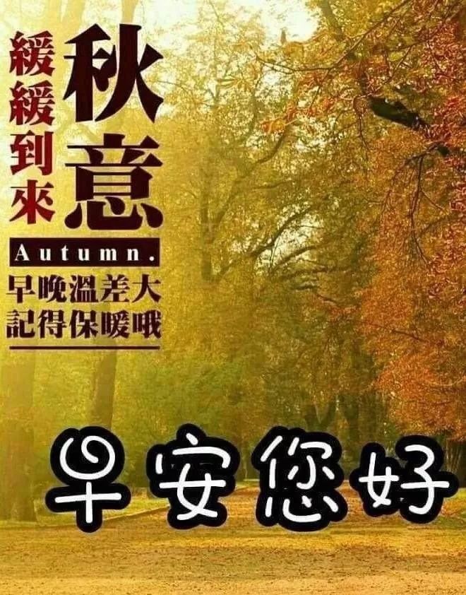 2019年特好看的清晨早上好带字祝福图片,早上好问候表情图片带字带