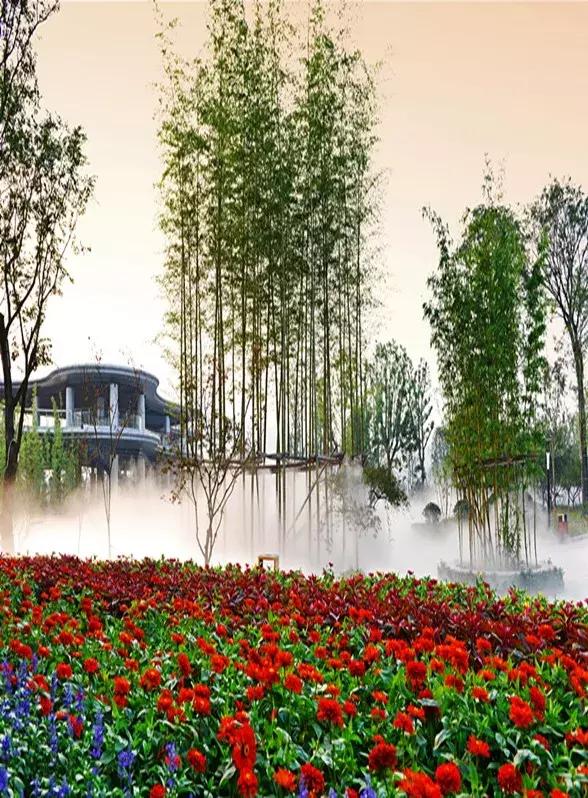 中秋将至 | 是时候把竹博园的行程定下来了