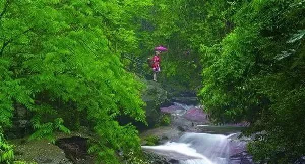 中国“醉美摄影旅游目的地”——贵州梵净山