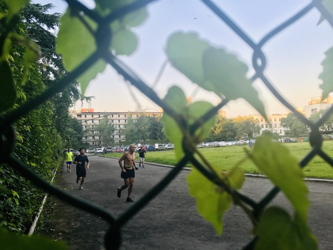 乱逛 中医药大学满墙的爬山虎，绿得很