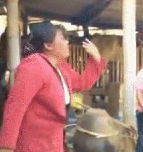 搞笑段子:小时候,姐姐经常用灌了水的气球丢我