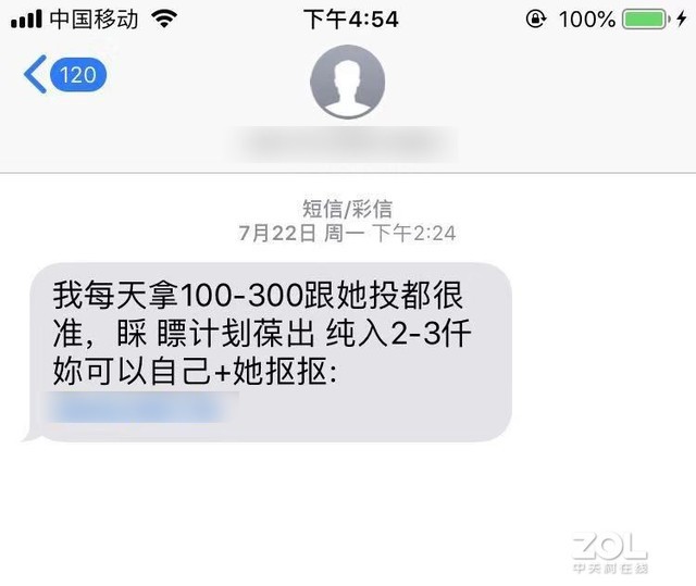 揭秘诈骗短信的背后：一夜之间让你身无分文