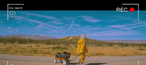 周润发一张照片卖318万,黄渤开摄影展...明星的相机都是钱烧出来