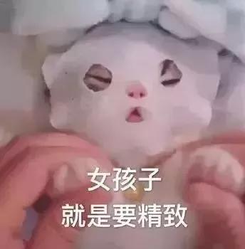 现在把头寄给他们还来得及嘛？
