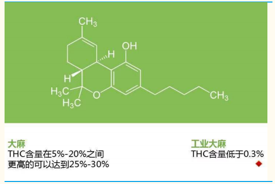 工业大麻是指四氢大麻酚含量低于 0.