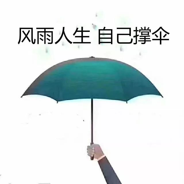 风雨人生,自己撑伞 风雨人生路,要学会自己撑伞!