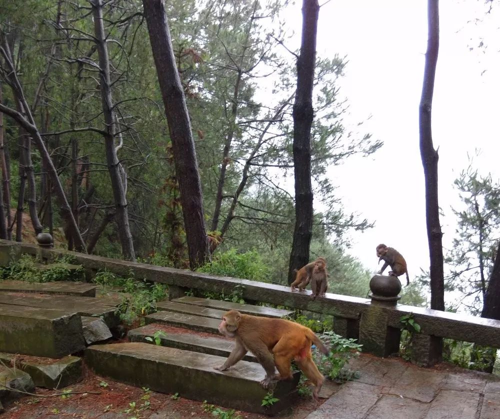 雨台山风景区