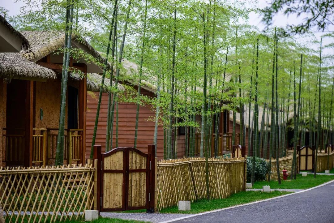 400亩私家茶园竹海内的小木屋,含室内外游乐园 竹林摸