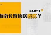 海南黑冠长臂猿系列科普丨“猿”来如此　海南长臂猿啥模样？