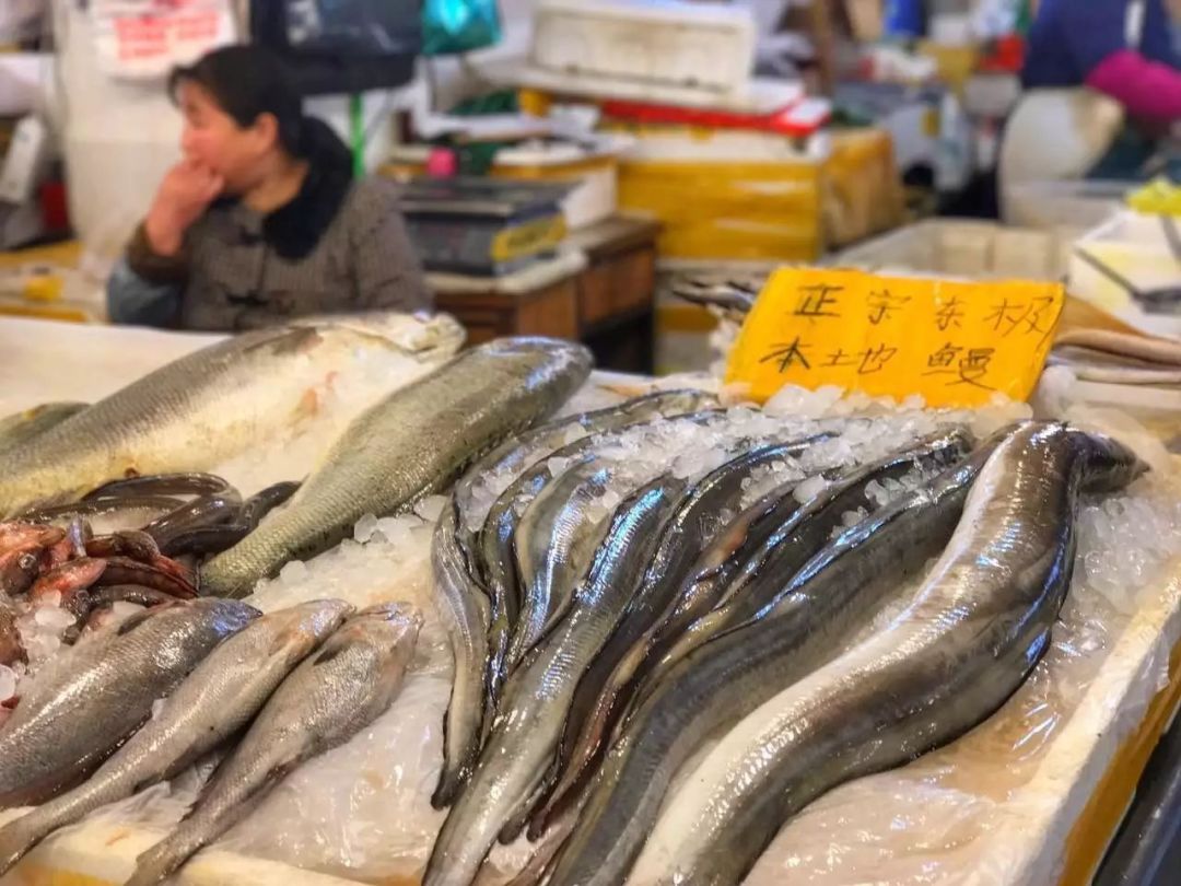 浙江哪里的海鲜最好吃？