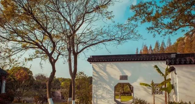 厉害了!昆山亭林公园与森林公园改造完成