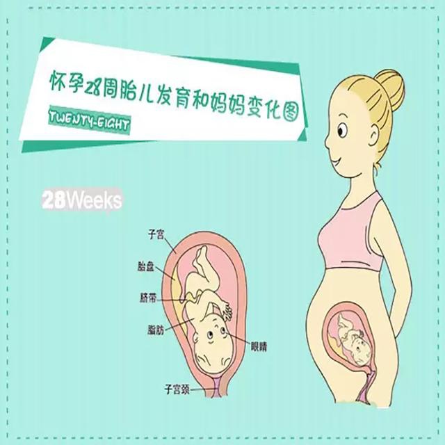 孕产说孕28周胎宝宝臀位准妈妈该怎么办早知道早准备