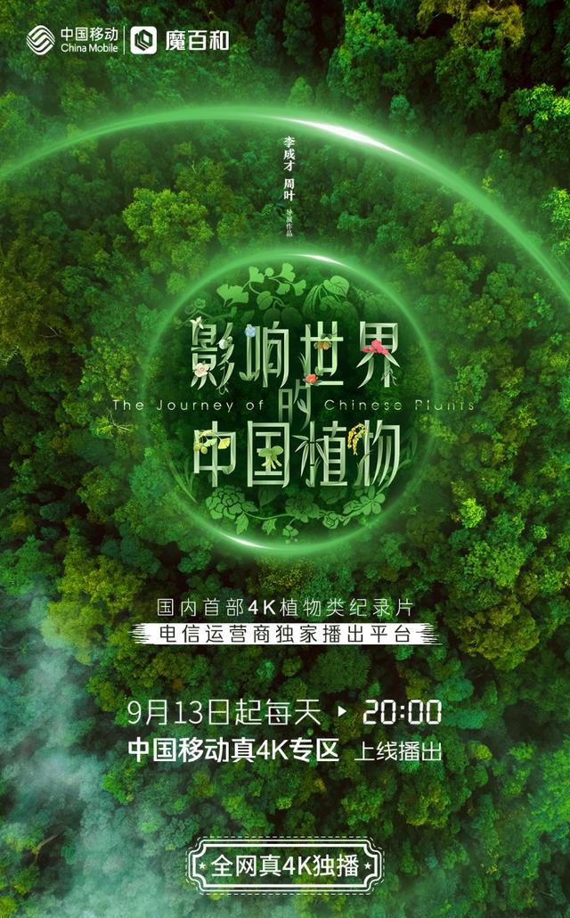作为国内目前时长最长的一部4k超高清纪录片《影响世界的中国植物》
