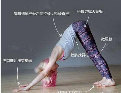 微信图片_20190903212301.png