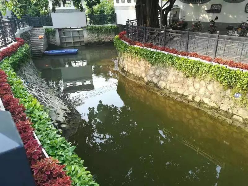 大学城创建排水单元达标先行区