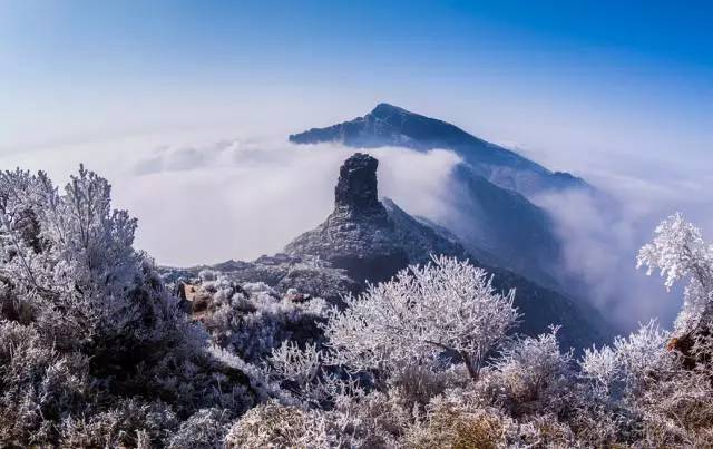 贵州旅游推荐。美到窒息！梵净山最美彩林已上线！