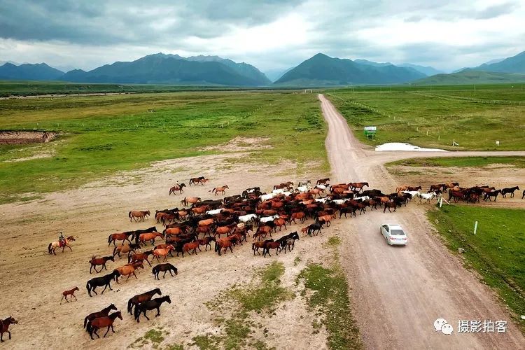 2019青海自驾旅行摄影:门源,山丹军马场,祁连