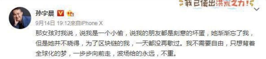 「半佛仙人」孙宇晨在价值观的坟头蹦迪