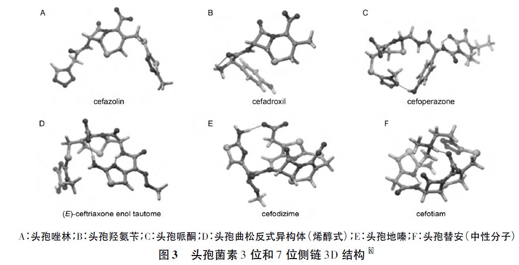 利用计算化学的方法,通过头孢菌素3d 结构-毒性功能基团的关系研究