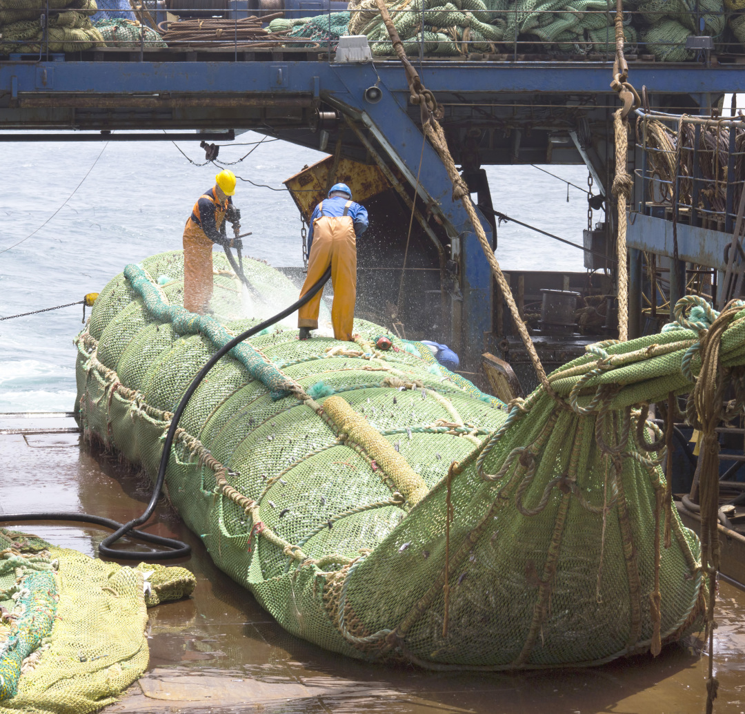 沿海人民是如何喂饱中国的？| 地球知识局