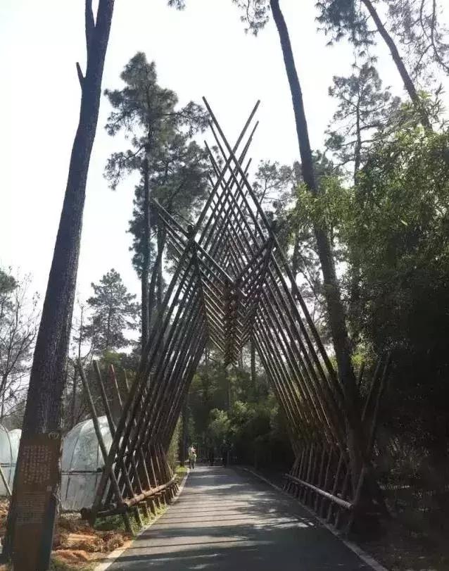 中秋将至 | 是时候把竹博园的行程定下来了