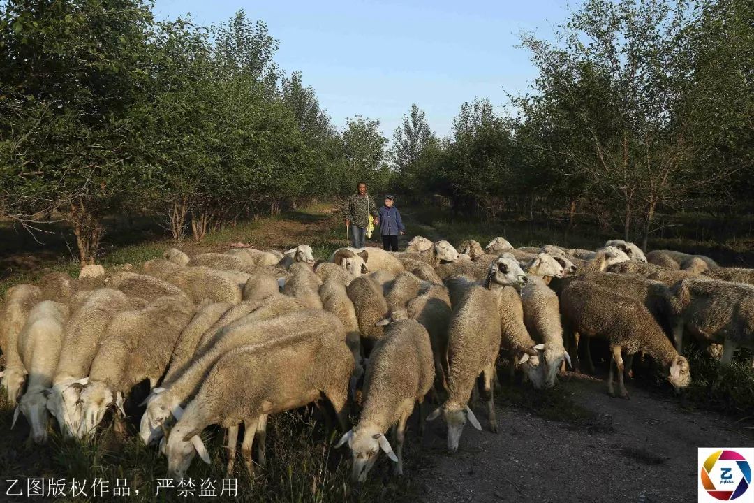 不看后悔（拜金女骗丈夫怀孕离婚了）拜金女抛弃穷小伙子多年后穷小伙子成为老公的老板 第2张