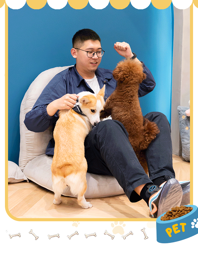 秋田,柴犬,柯基…10 萌犬任你撸,新开狗咖来啦