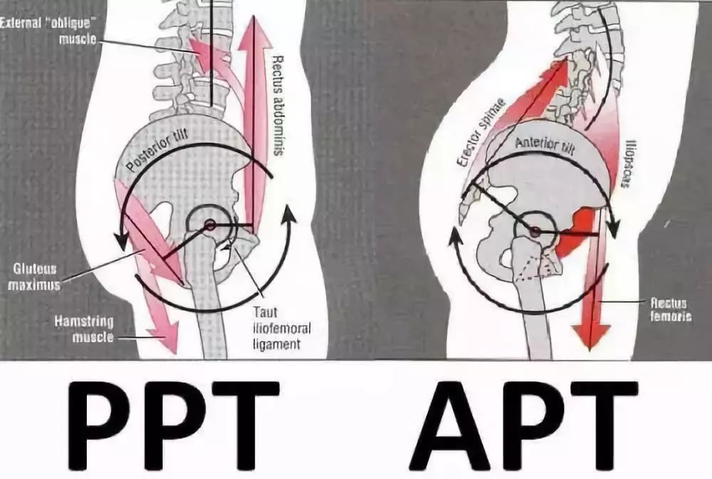 [新氧App]张天爱紧身西服泳装上热搜，但这骨盆前倾隔着屏幕都觉得疼！