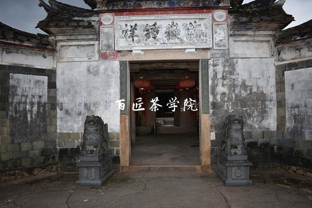 一方水土养一方人,福鼎老茶人带您看尽福鼎白茶的前世今生