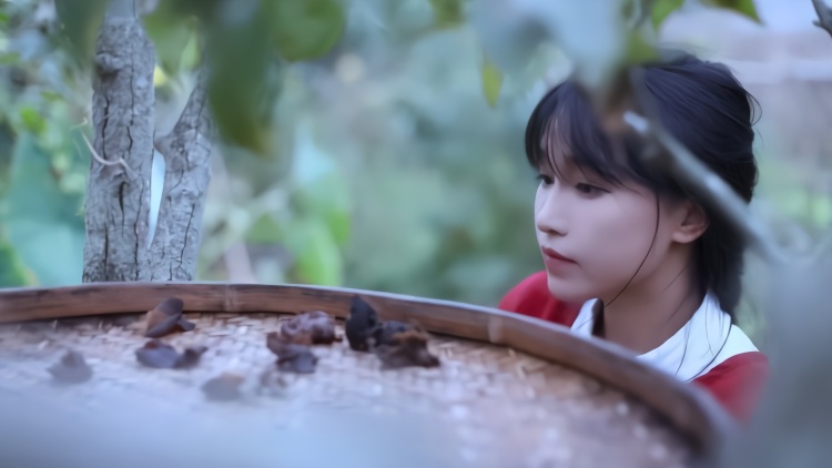 「PingWest品玩」展开讲讲，为什么有人不喜欢李子柒