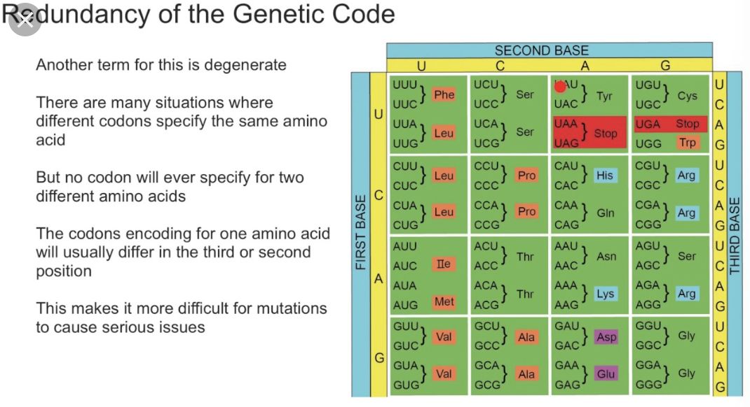 研究完《长安12时辰》的望楼系统，我魔怔了