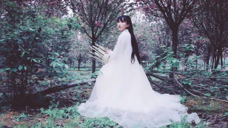 「PingWest品玩」展开讲讲，为什么有人不喜欢李子柒