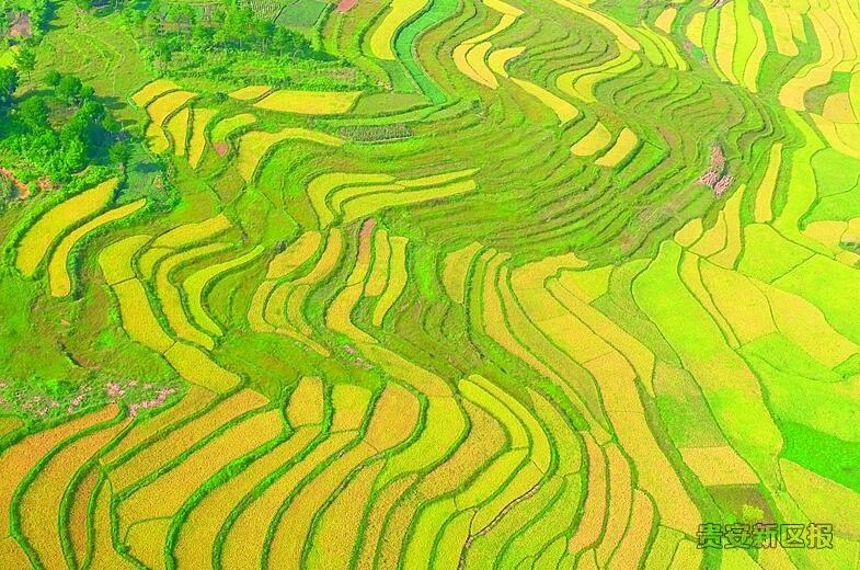 贵州又多一处旅游网红打卡地贵安新区美丽乡村成“人间仙境”