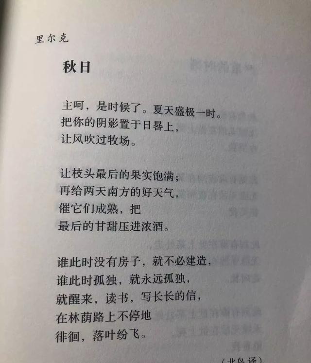 最近喜欢的10句文案