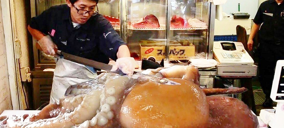 几十斤的双腿章鱼,被日本场面活切喷水刺身,真是头一次见这厨师巨型间蜘蛛网与做成图片