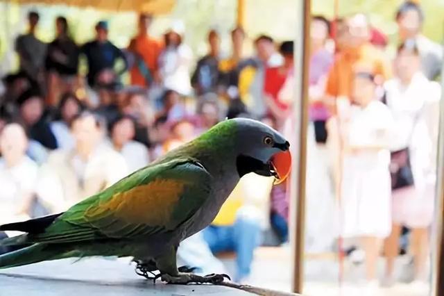 中秋将至 | 是时候把竹博园的行程定下来了