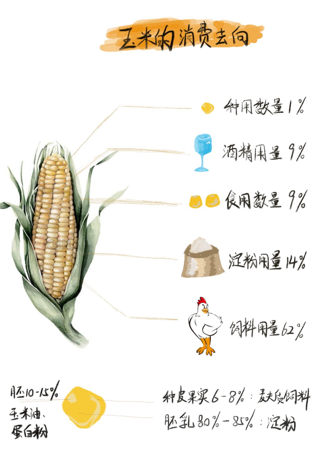 "玉米简史",一图看懂玉米