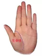 男左女右,教你手相看命,自己也能看!