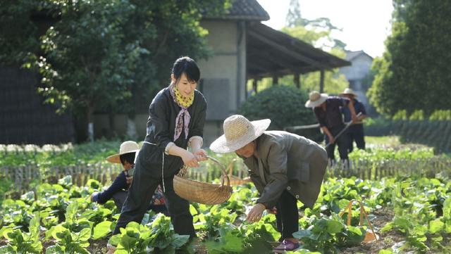 49岁奶茶刘若英久违营业，化身江南美女仙气飘飘