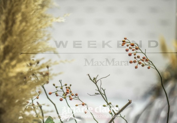 率性与优雅共生，宋佳助阵Weekend Max Mara(麦丝玛拉) 2019秋冬新品发布