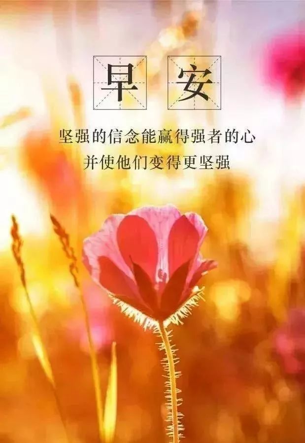 10月5日早安!新的一天,新的起点_大风号_凤凰网